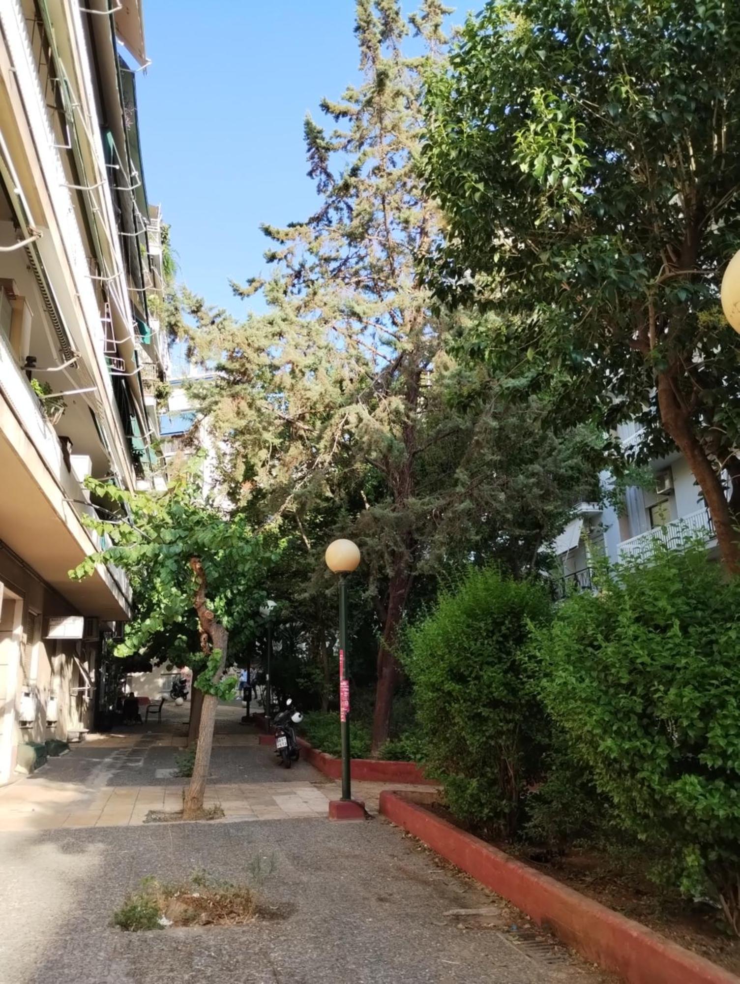 Vasia'S Cosy Apartment In Athens, "Pedion Tou Areos", Close To Center 外观 照片